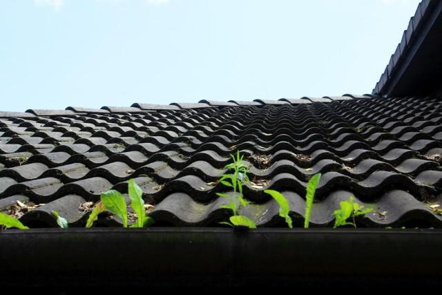 Чистка желобов, водостоков. Ремонт